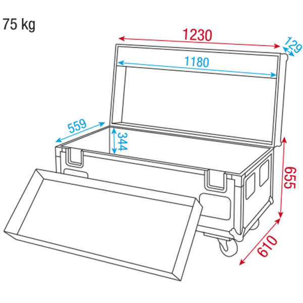 Wentex Pipe & Drape Case voor FOH-kit